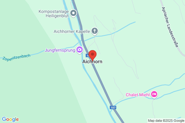 Helmut Aichhorn