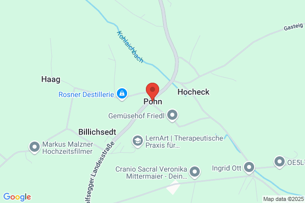 Hans Pohn