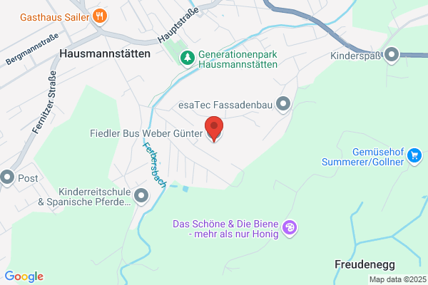 Fiedler Bus - Weber Guenter