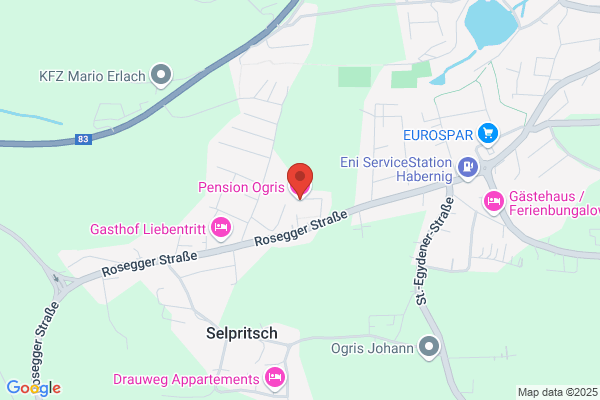 Pension Ogris Tschinderwirt Selpritsch