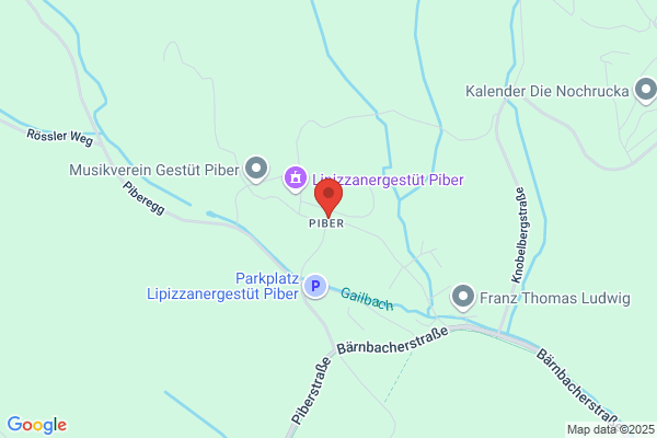 Gasthof-Pension Piber