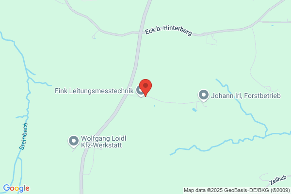 Gottfried Fink