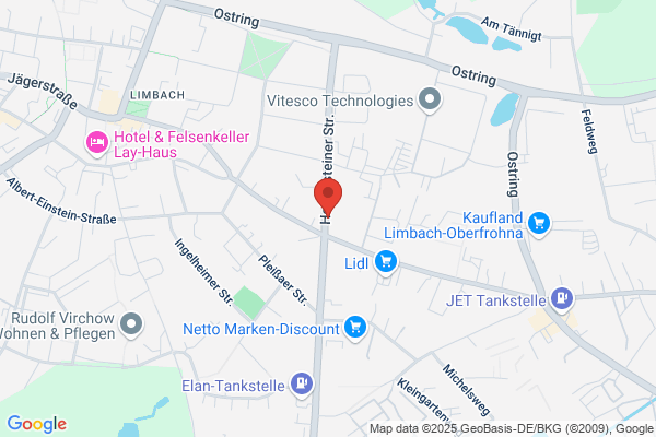 Riedl Ing GmbH und Co KG