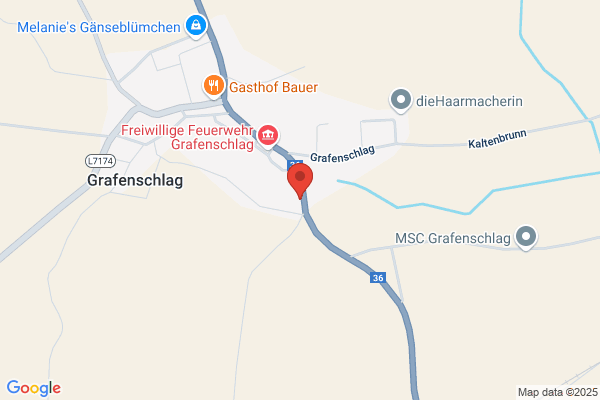 Wilfried Gatterer
