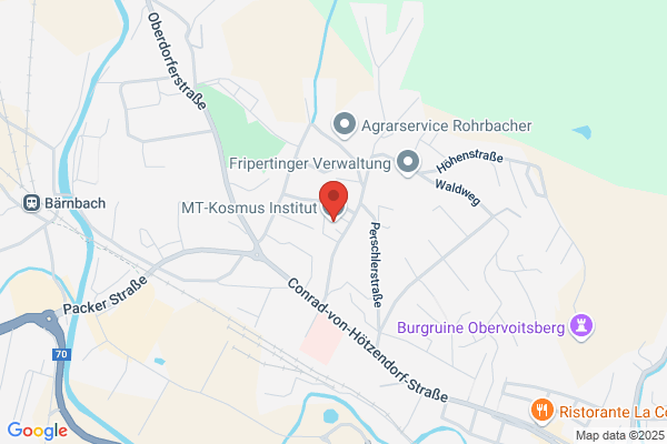 MT-Kosmus Institut Ing. Werner Kosmus