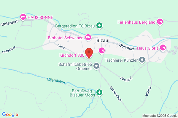Bizau regGenmbH