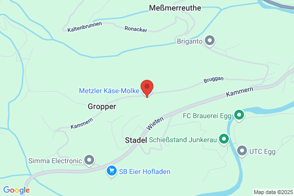 H. Metzler KG