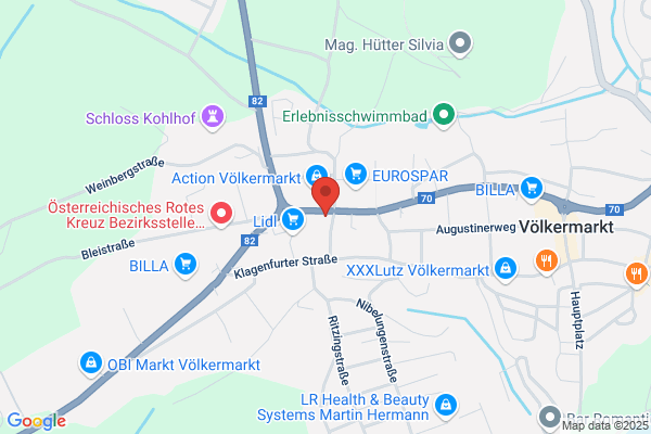 Es gibt uns - Verein zugunsten behinderter Kinder Bezirk Voelkermarkt