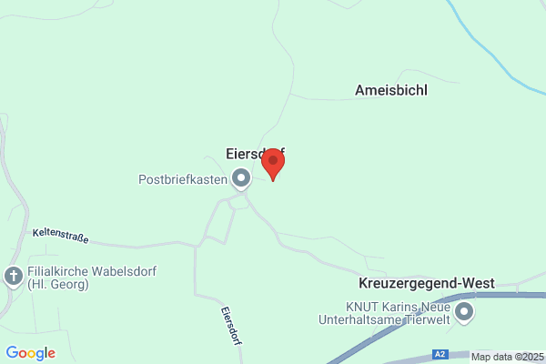 Guenther Weissnegger