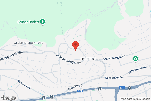 Dipl.Ing. Clemens Widmann