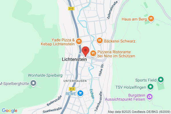 Cafe Ikarus