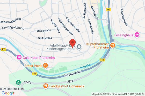 Electronic Web Service GmbH