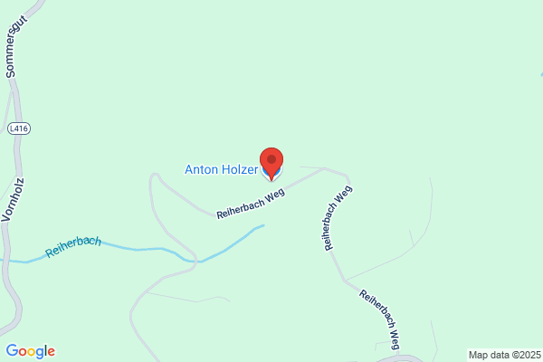 Anton Holzer