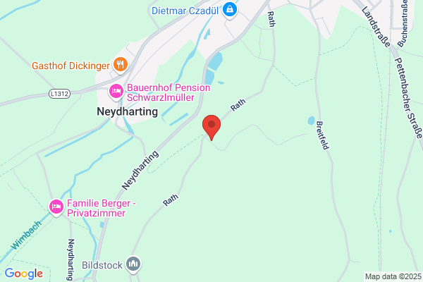 Ernst Stuerzlinger