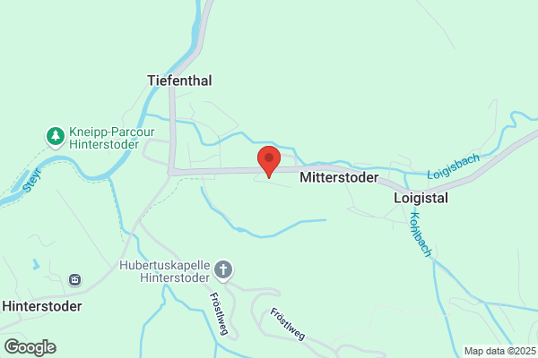 Wollmeister
