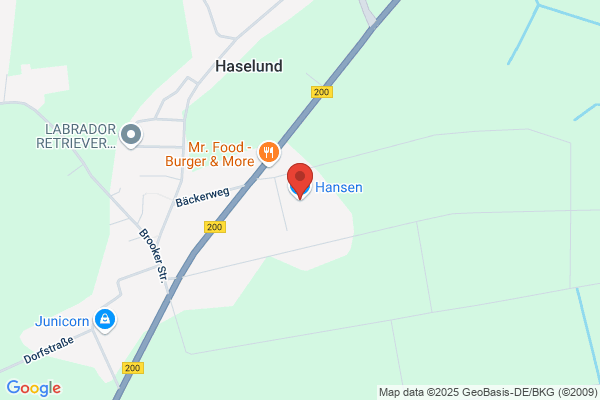 Hansen