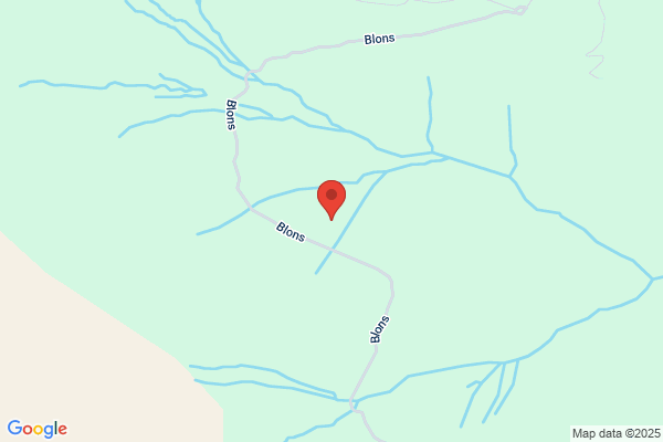 Albrecht Rinderer