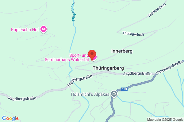 Alternative Gesundheitsproduktion - Bauer