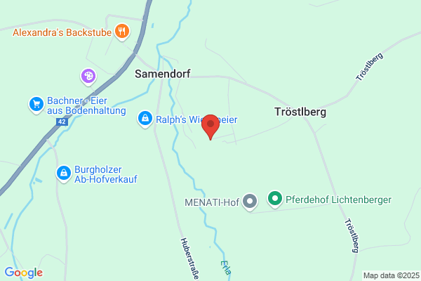 Franzl Dachdeckerei und Spenglerei Gesellschaft m.b.H.