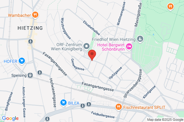 Vienna Cine und TV Services GesmbH