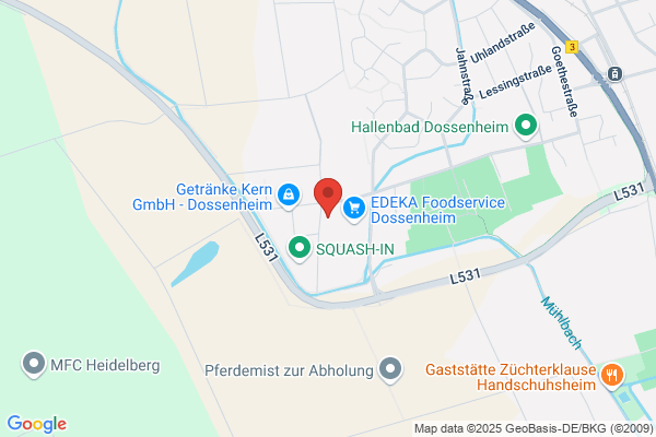 RDS EDV-Dienstleistungs GesmbH