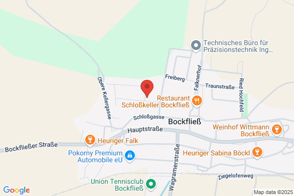 Alois Reiter