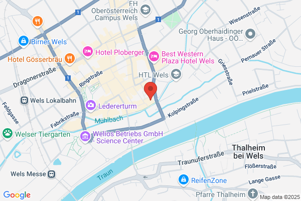 Burg Wels
