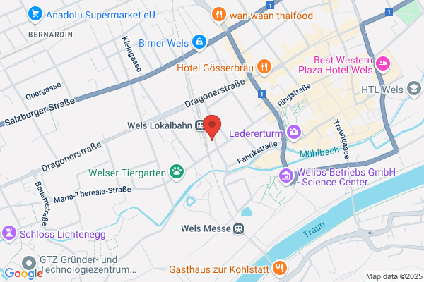 Fasching Gerhard Mag