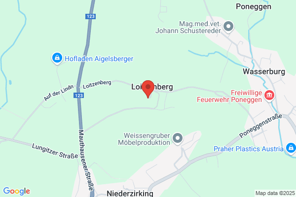 Adolf Muenchinger Holz- Import-Export-GmbH und Co. KG Niederlassung oesterreich