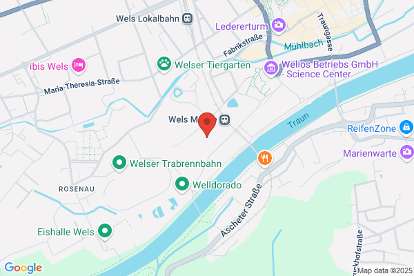 Ferkelmarkt Wels Viehhallen