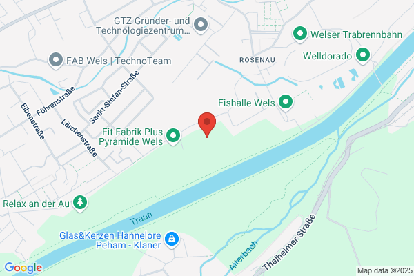 Union Wels