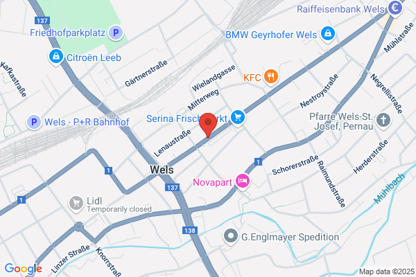 Wels In