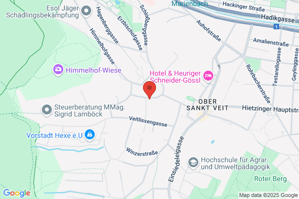 Steger Andrea Dr - kosmetische Medizin - Entgiftungen - Krankheitsherdtestung