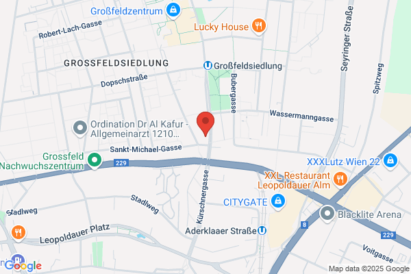 Physikalisches Institut Leopoldau Gesellschaft m.b.H.