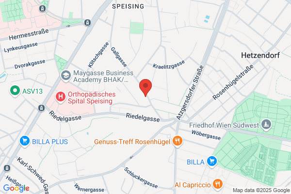 Metaphysical Center of Vienna