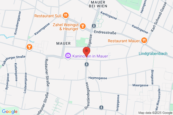Aufzug Management - Austria