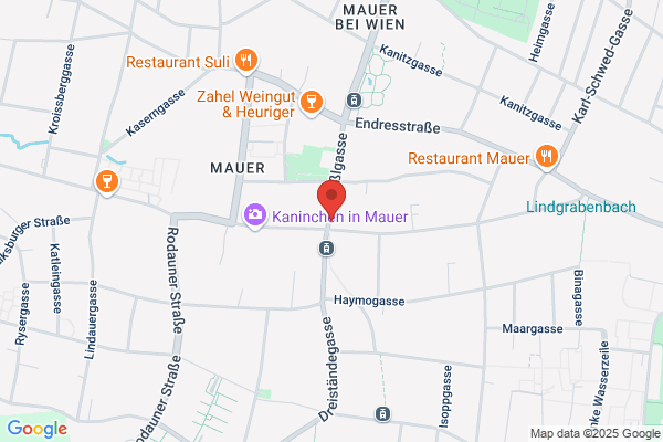 med-LENS KL Institut Grechenig GesmbH
