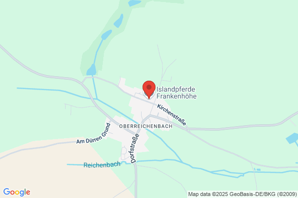 Islandpferde Reitverein