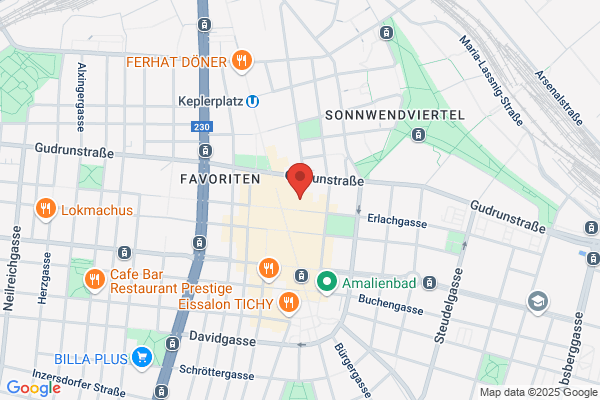 Garage Erlachgasse