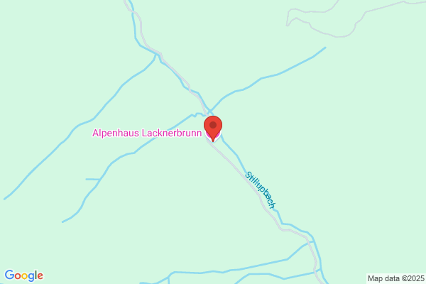 Alpenhaus Turner