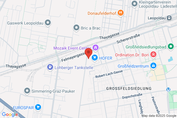 SCHOeDEL F. Pflasterungen