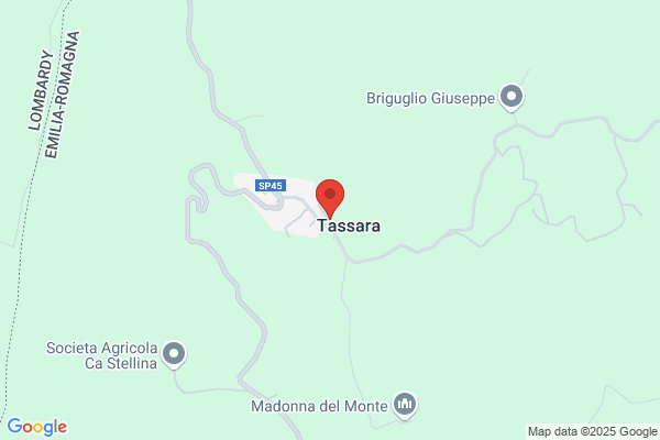 Handl und Tassara OEG