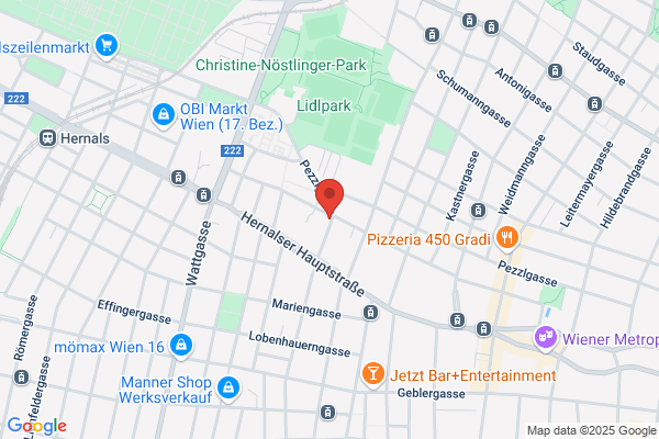 Friis Electronic Wien