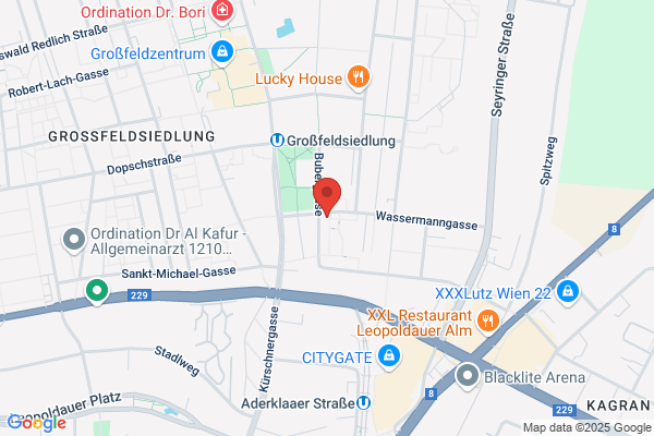 ÖWD cleaning services GmbH & Co KG