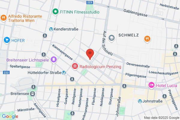 Arch.Prof.DI Franz Fehringer und Co Reihenhaus OEG