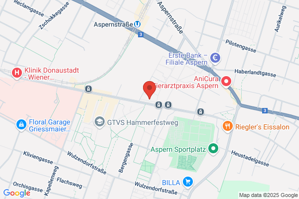 Mobile Fruehfoerderung d Wiener Sozialdienste Standort Nord