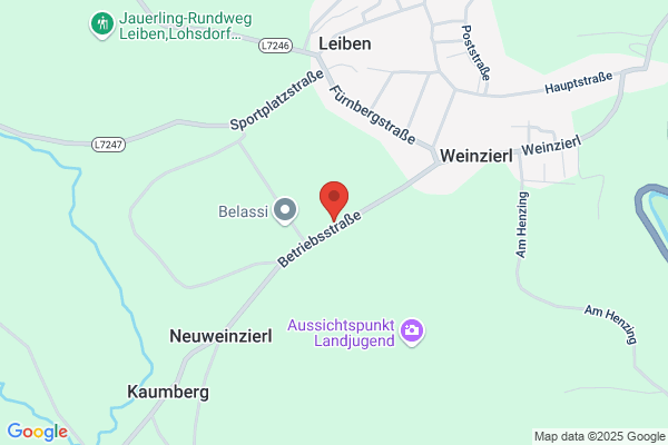 Belousek Leopoldine & Co Gesellschaft mbH & Co KG