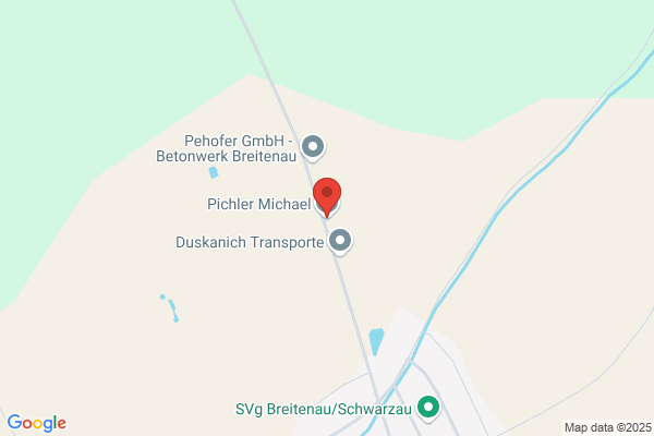 Pichler Michael GesmbH
