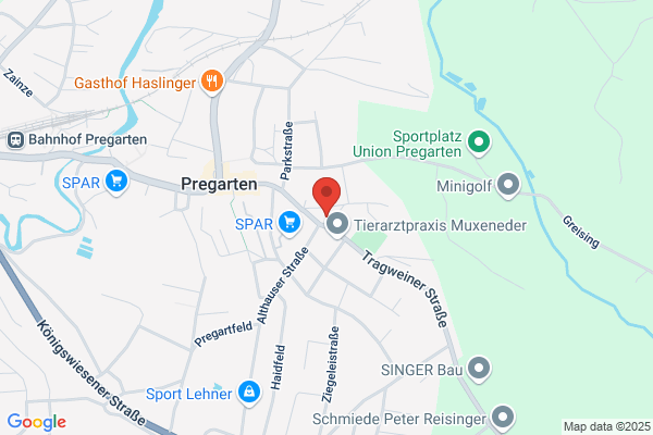 Pichelbauer Johannes Ing Bmstr - Buero f Bauplanung u Management