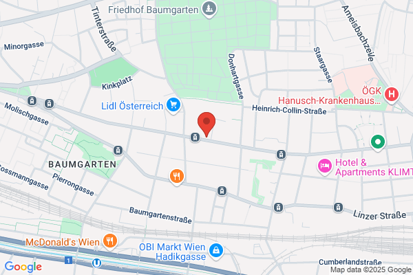ZHU Shubin Gesellschaft m.b.H.